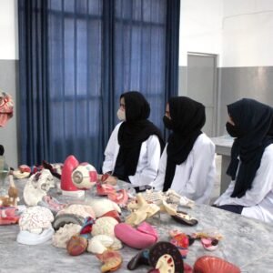 Diploma in Cardiology